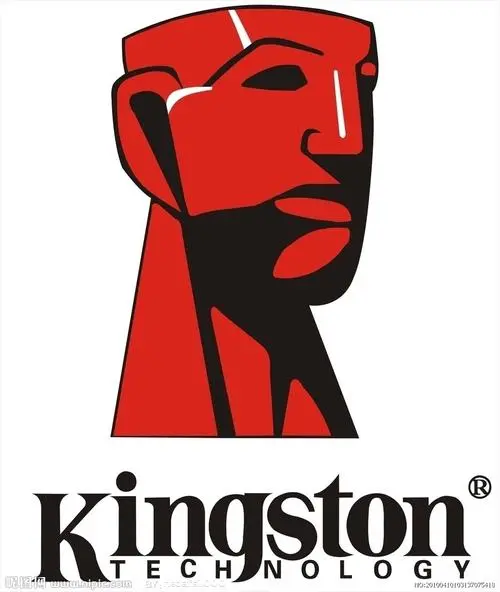 制造商KingSton金士顿的图片