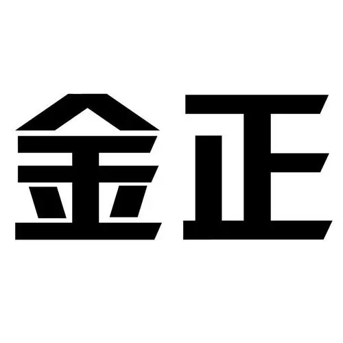 制造商NINTAUS/金正的图片